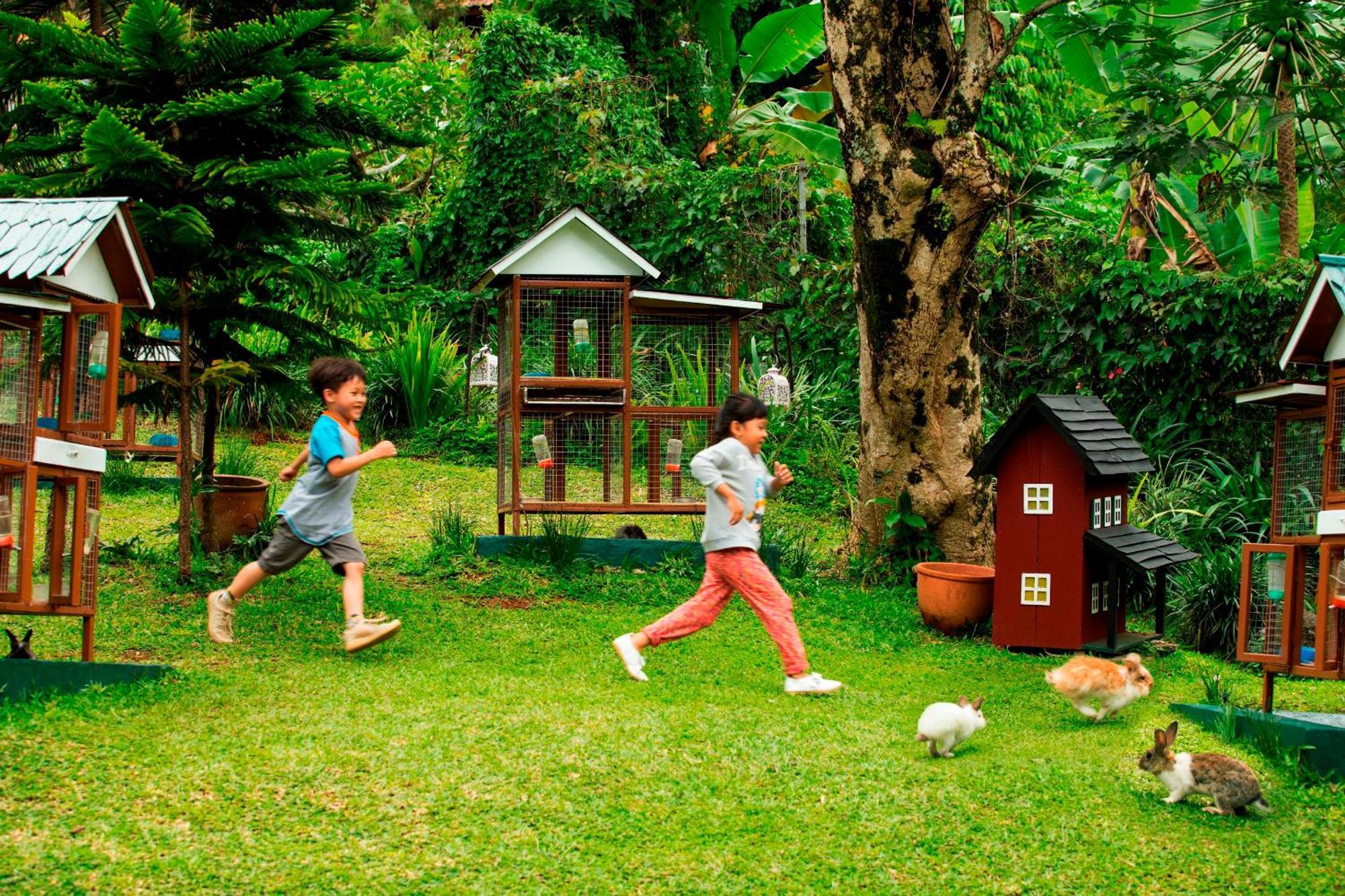 פונקאק Novus Giri Resort & Spa מראה חיצוני תמונה